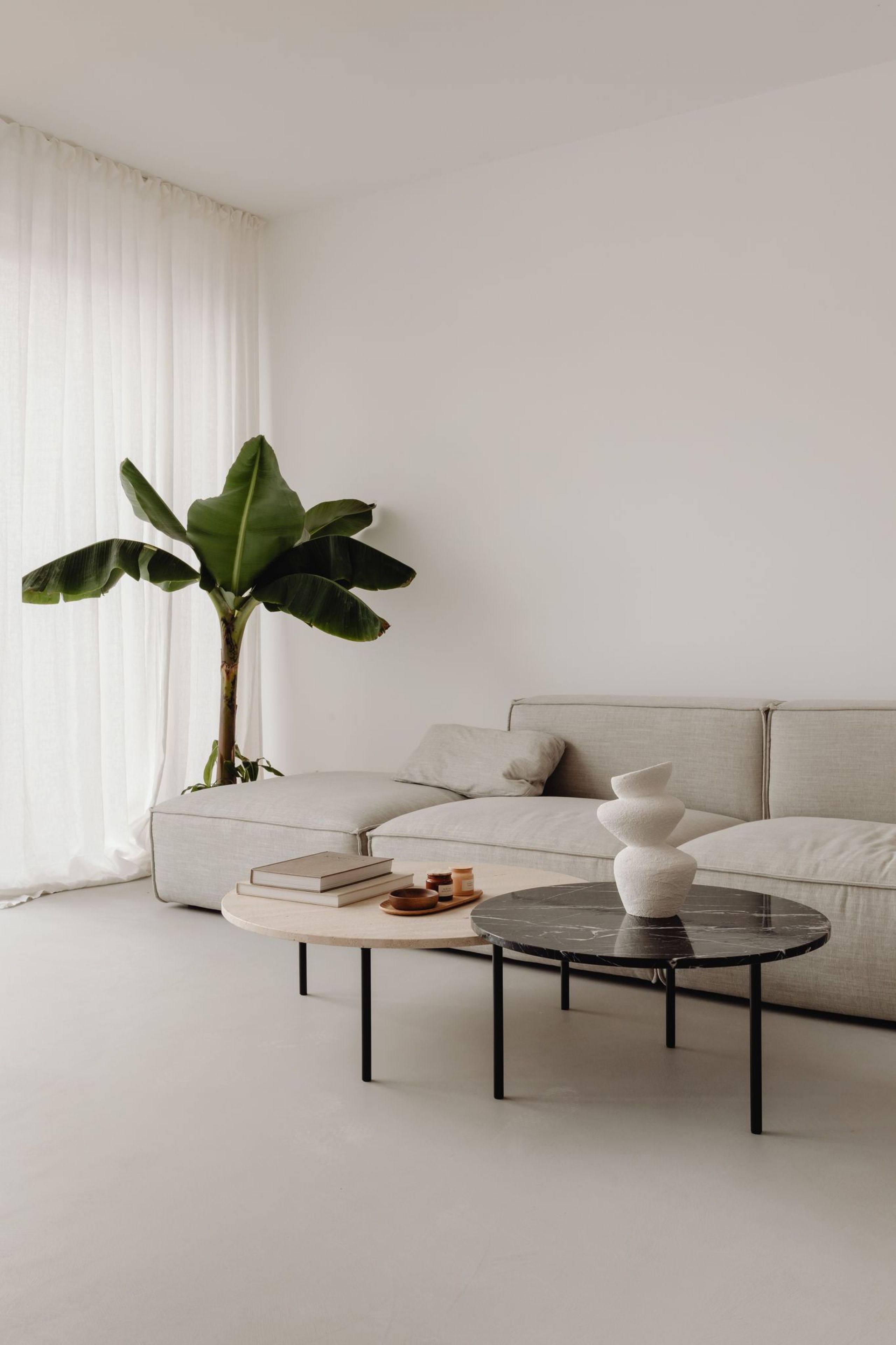 White modern living room with palm tree