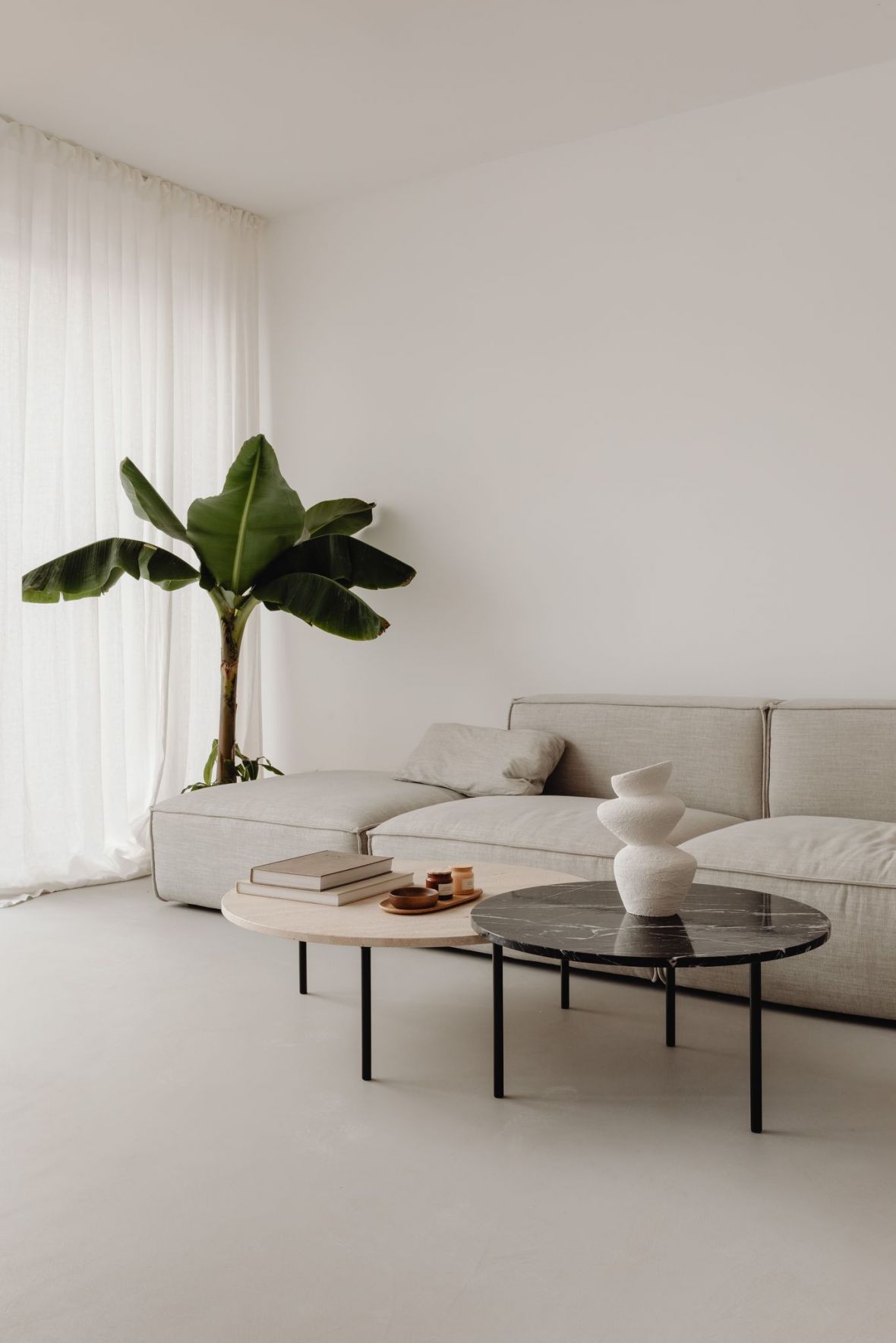 White modern living room with palm tree