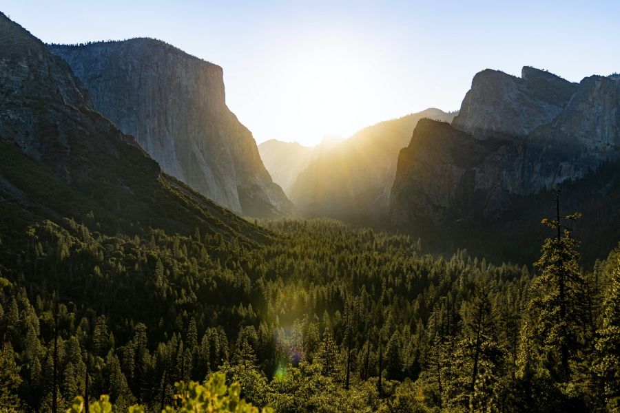 Yosemite Sunrise Mountains and Forest