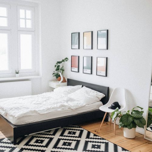 Xcelsior apartment theme studio bedroom pattern rug and queen size bed