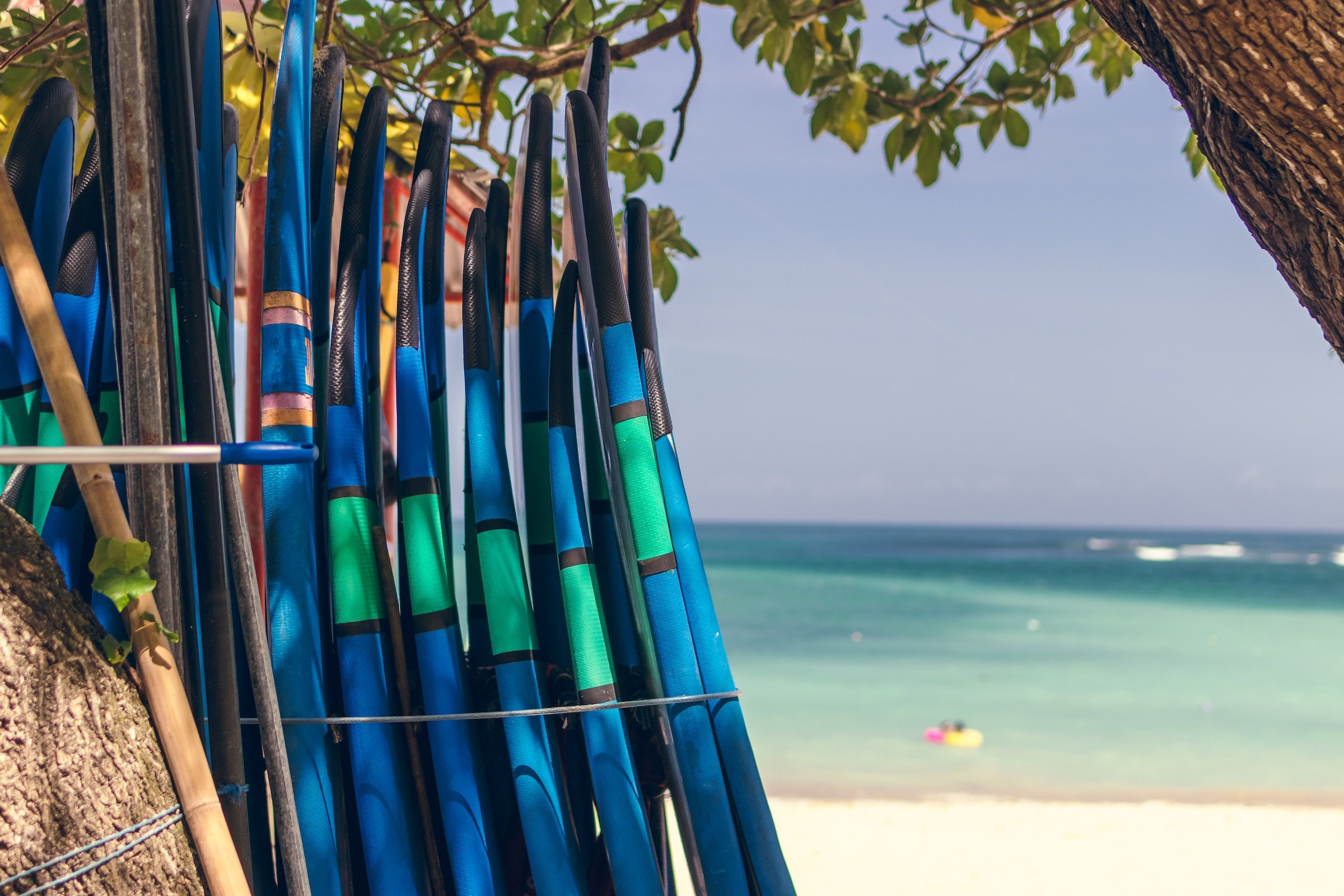 Yucatan by Resi - Luxury Apartment Website Theme - community surf boards