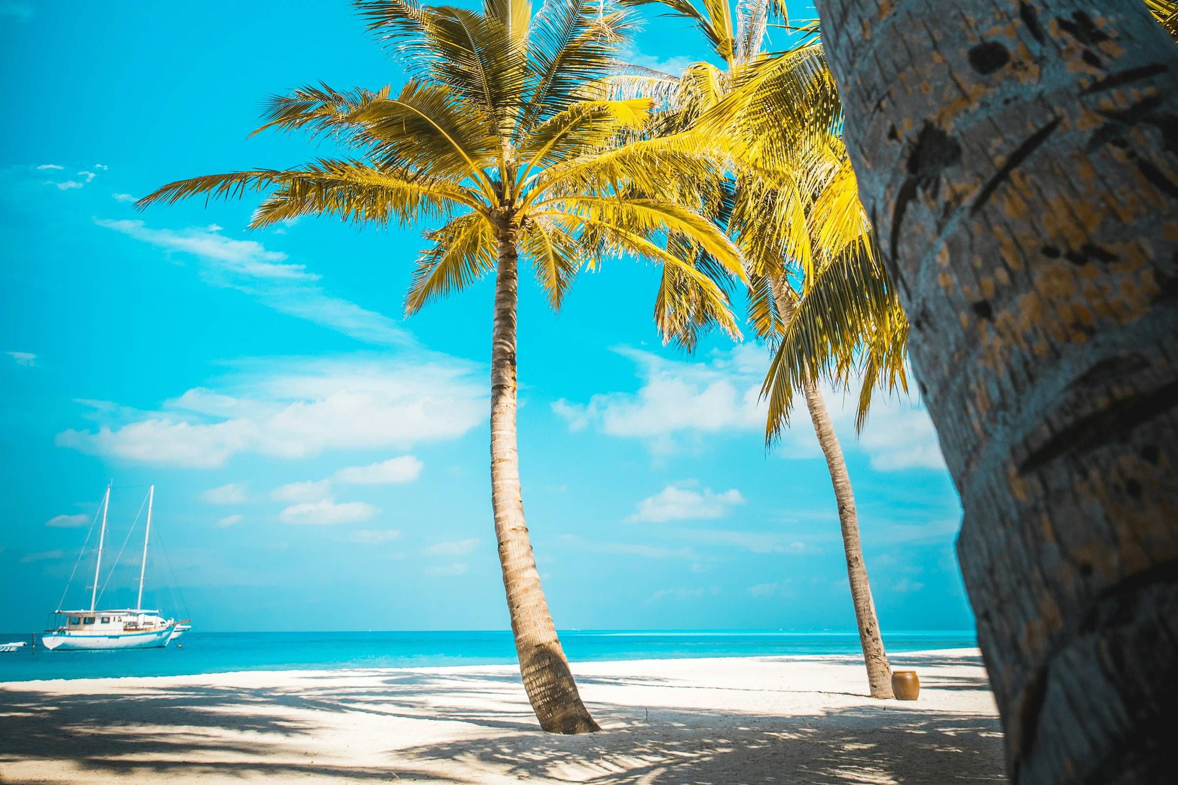 Footbridge to the Beach - Yucatan Luxury Apartment Resi Website Theme