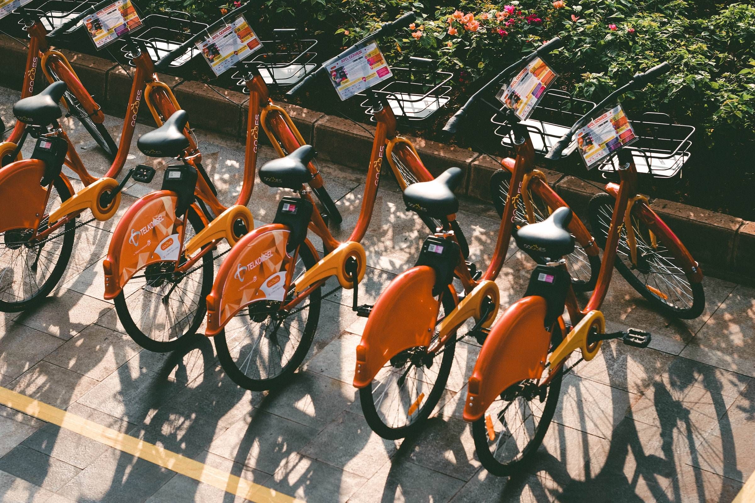 Yucatan by Resi - Luxury Apartment Website Theme - bike rentals