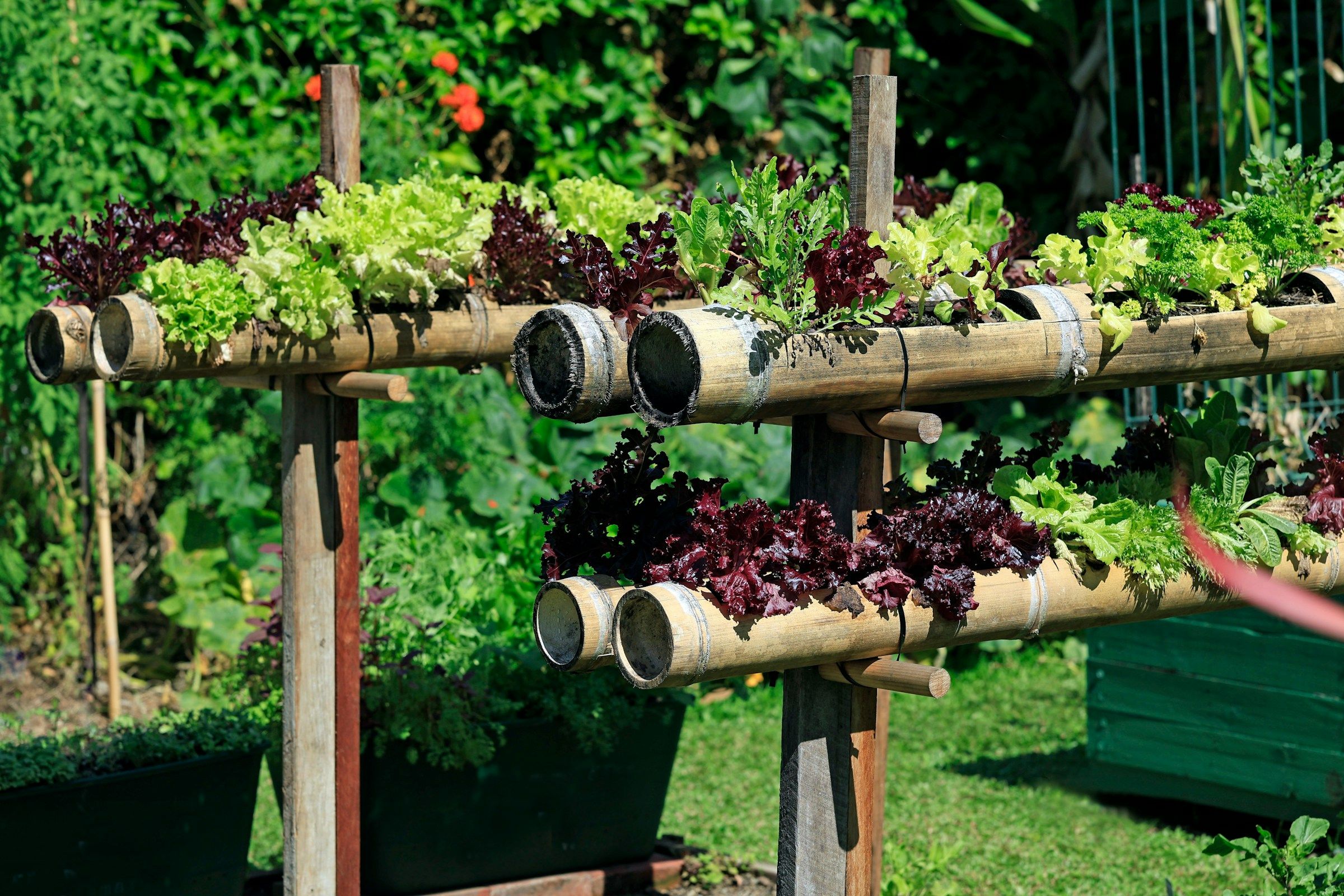 Yucatan by Resi - Luxury Apartment Website Theme - community food garden