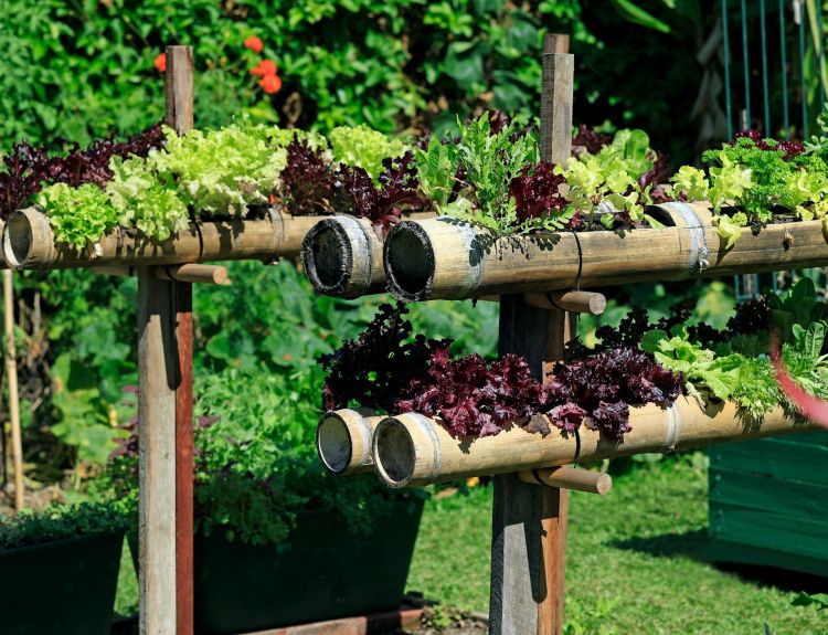 Yucatan by Resi - Luxury Apartment Website Theme - community food garden