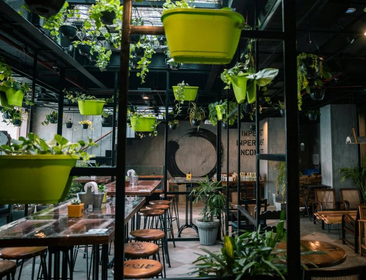 Yucatan by Resi - Luxury Apartment Website Theme - room with hanging plants and wood tables and chairs